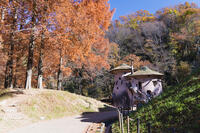 トーベヤンソンあけぼの子どもの森 [KTO110004165]