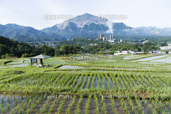 寺坂棚田と武甲山 [KTO110004094]