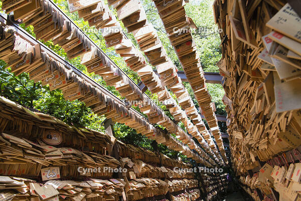 氷川神社の絵馬のトンネル [KTO110004100]
