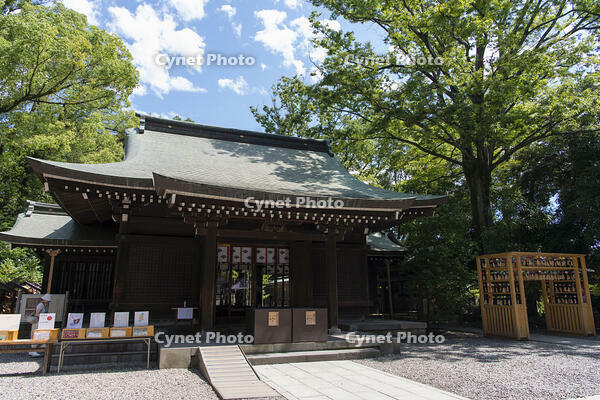 氷川神社 [KTO110004103]