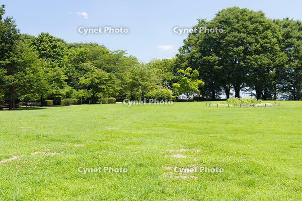 芝生の公園 [KTO110004105]