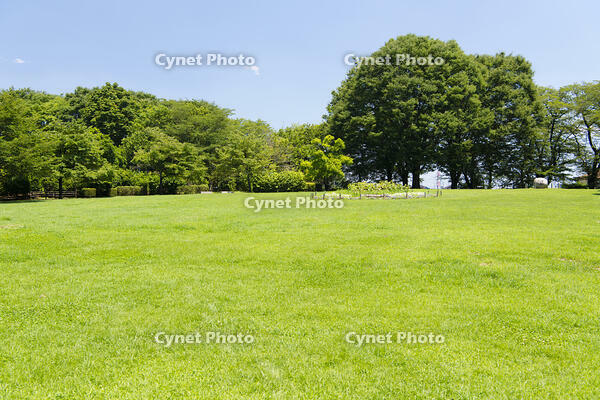 アユの炭焼き [KTO110004107]