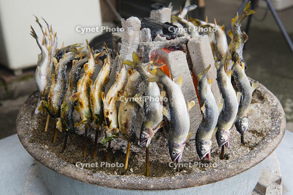 夏の大内宿 [KTO110004109]