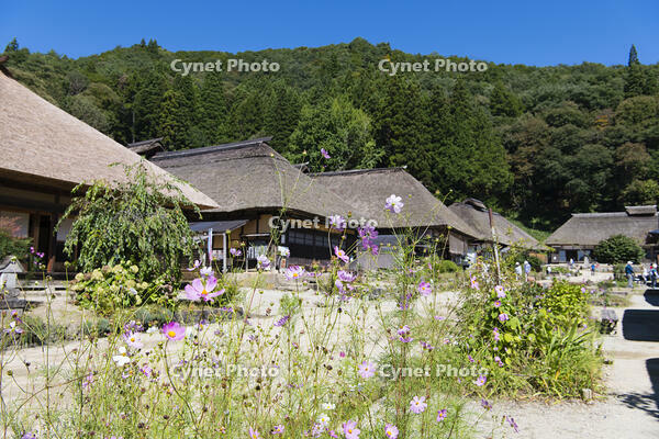 夏の大内宿 [KTO110004124]