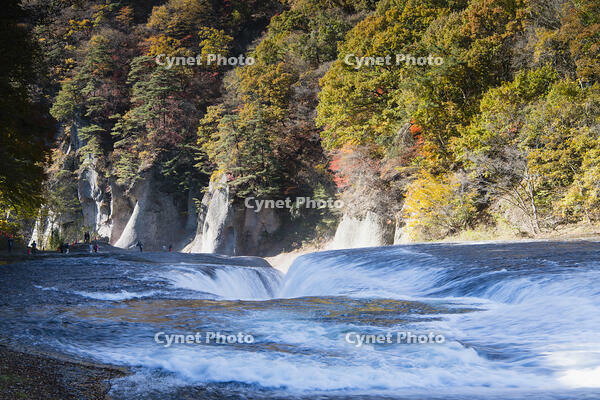 秋の吹き割の滝 [KTO110004143]