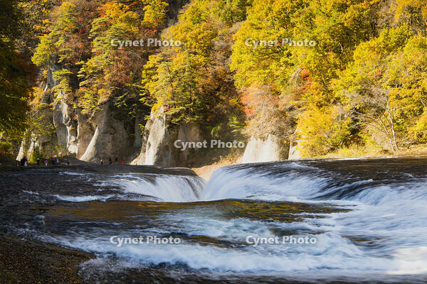 秋の吹き割の滝 [KTO110004144]