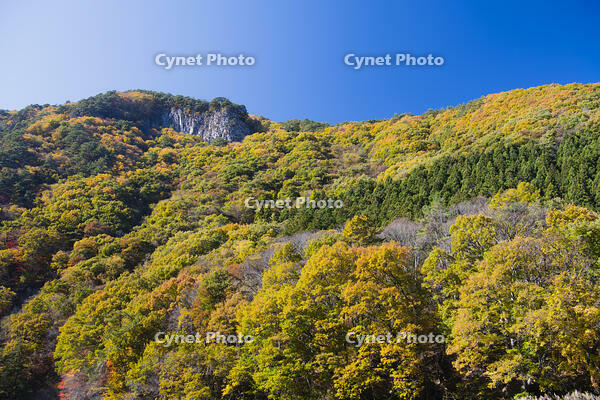 秋の山 [KTO110004146]