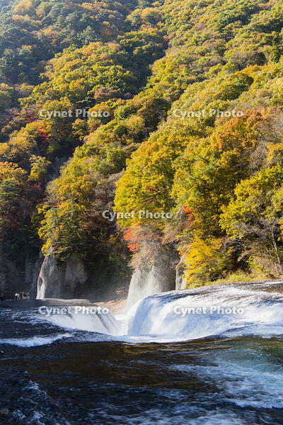 秋の吹き割の滝 [KTO110004150]