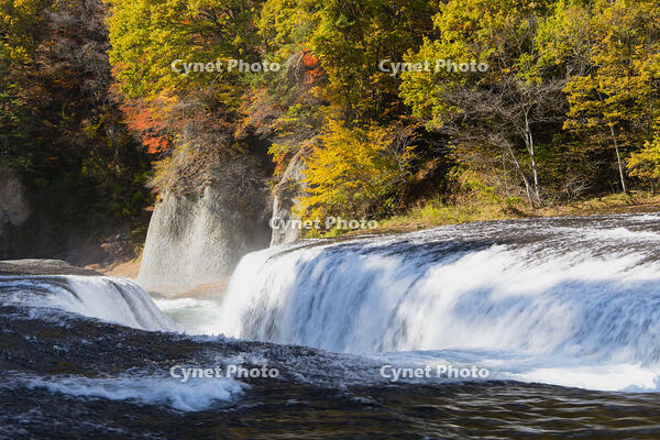 秋の吹き割の滝 [KTO110004151]