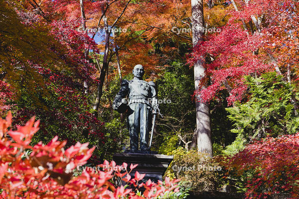 秩父御嶽神社東郷元帥像 [KTO110004157]