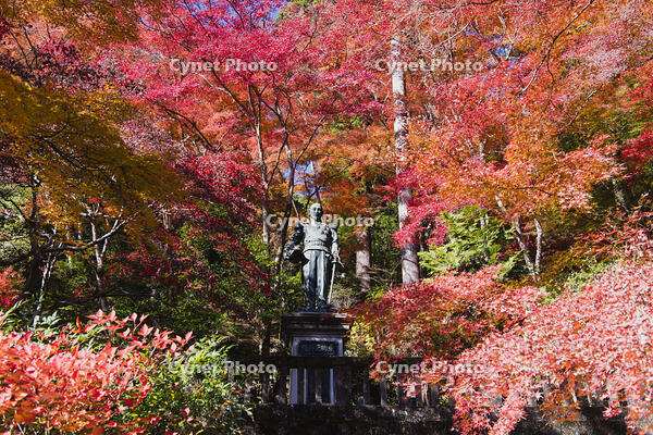 秩父御嶽神社東郷元帥像 [KTO110004158]