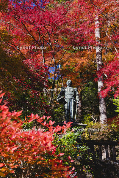 秩父御嶽神社東郷元帥像 [KTO110004159]
