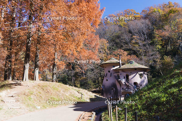 トーベヤンソンあけぼの子どもの森 [KTO110004165]