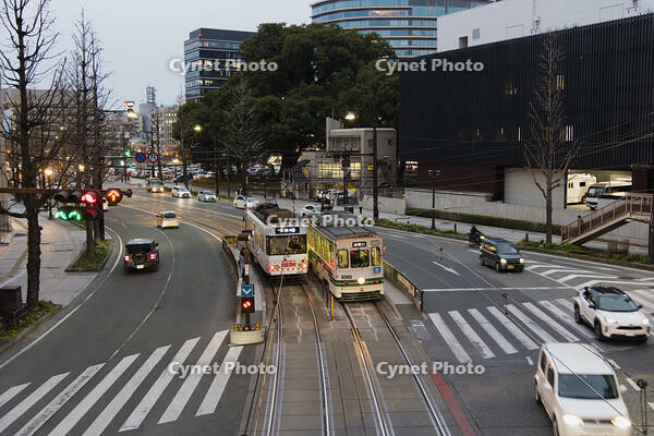 夕景の熊本市電 [KTO110004172]