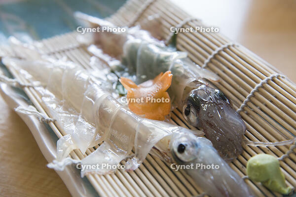 イカの姿作り [KTO110004200]