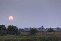 朝　日の出　太陽　湿原　湿地　モレミ野生動物保護区　世界遺産 [SKA110002651]