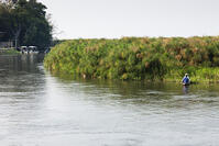 オカバンゴ川本流　パンハンドル　シャカウィ　湿原　湿地　世界遺産 [SKA110002657]