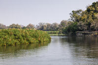 オカバンゴ川本流　パンハンドル　シャカウィ　湿原　湿地　世界遺産 [SKA110002659]