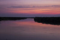 オカバンゴ川本流　パンハンドル　夜明け　シャカウィ　湿原　湿地　世界遺産 [SKA110002660]