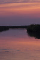 オカバンゴ川本流　パンハンドル　夜明け　シャカウィ　湿原　湿地　世界遺産 [SKA110002661]