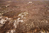 潅木地帯　マウン　湿地帯　世界遺産　空撮 [SKA110002663]