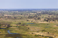 湿地帯　中州　世界遺産　空撮 [SKA110002674]