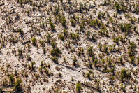 潅木地帯　湿地帯　世界遺産　空撮 [SKA110002675]