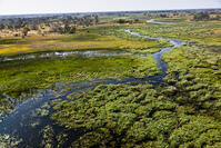 湿地帯　中州　世界遺産　空撮 [SKA110002686]