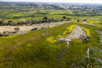 湿地帯　中州　世界遺産　空撮 [SKA110002693]