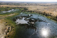 湿地帯　中州　世界遺産　空撮 [SKA110002694]