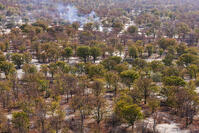 潅木地帯　湿地帯　世界遺産　空撮 [SKA110002696]