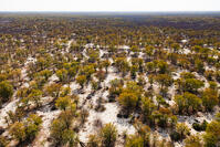 潅木地帯　湿地帯　世界遺産　空撮 [SKA110002697]