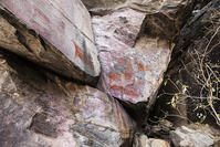 ツォディロの古代岩絵　リノ・コース　エランド　レイヨウ　世界遺産 [SKA110002702]