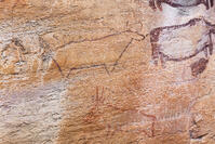 ツォディロの古代岩絵　リノ・コース　ゲムズボック　バッファロー　世界遺産 [SKA110002705]