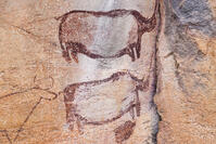 ツォディロの古代岩絵　リノ・コース　サイ　世界遺産 [SKA110002706]