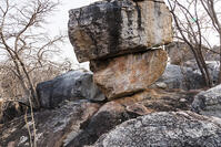 ツォディロの古代岩絵　リノ・コース　シャーマニズムマーク　世界遺産 [SKA110002707]