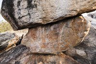 ツォディロの古代岩絵　リノ・コース　シャーマニズムマーク　世界遺産 [SKA110002708]