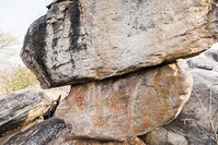 ツォディロの古代岩絵　リノ・コース　シャーマニズムマーク　世界遺産 [SKA110002709]