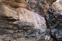 ツォディロの古代岩絵　リノ・コース　サイト16　世界遺産 [SKA110002711]