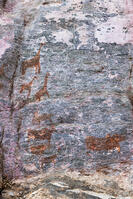 ツォディロの古代岩絵　リノ・コース　サイト15　世界遺産 [SKA110002712]