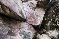 ツォディロの古代岩絵　リノ・コース　サイト14　世界遺産 [SKA110002714]