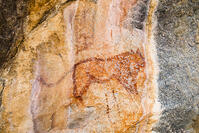 ツォディロの古代岩絵　ライオン・コース　ライオン　世界遺産 [SKA110002718]