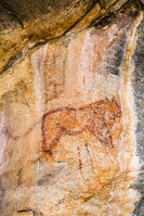 ツォディロの古代岩絵　ライオン・コース　ライオン　世界遺産 [SKA110002719]