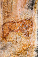 ツォディロの古代岩絵　ライオン・コース　ライオン　世界遺産 [SKA110002720]