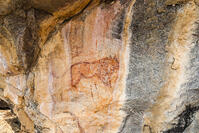 ツォディロの古代岩絵　ライオン・コース　ライオン　世界遺産 [SKA110002721]