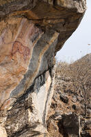 ツォディロの古代岩絵　ライオン・コース　ライオン　世界遺産 [SKA110002723]