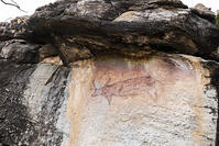 ツォディロの古代岩絵　クリフ・コース　ウォーターバック　世界遺産 [SKA110002724]