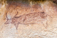 ツォディロの古代岩絵　クリフ・コース　ウォーターバック　世界遺産 [SKA110002725]