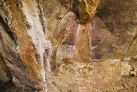 ツォディロの古代岩絵　クリフ・コース　キリン　白絵のサイ　世界遺産 [SKA110002732]