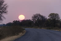 夜明　日の出　道路　カラハリ砂漠 [SKA110002743]